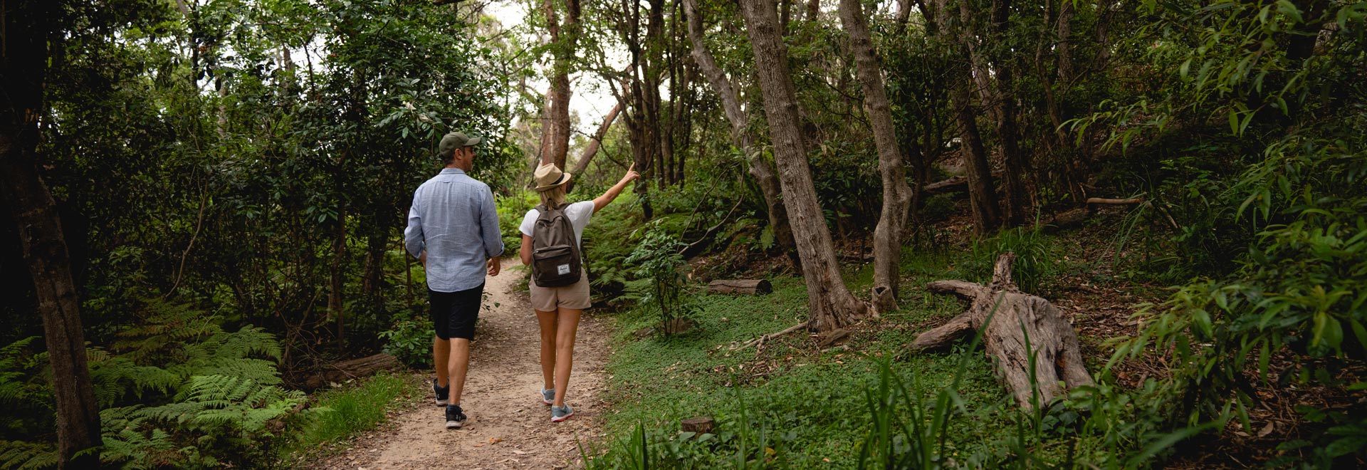 Scenic Nature Walking Track Georges Heights Mosman 1920X660