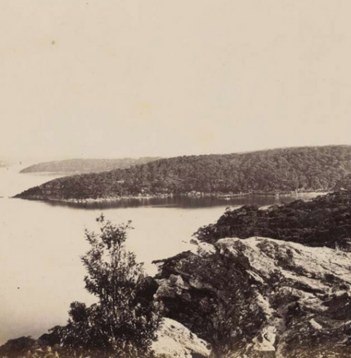 Historic image of Chowder Bay and Clifton Gardens taken from 1878-79.