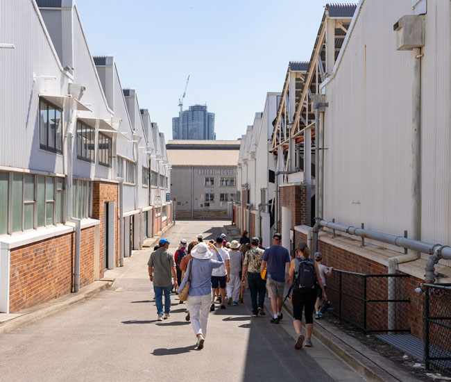 tours cockatoo island sydney