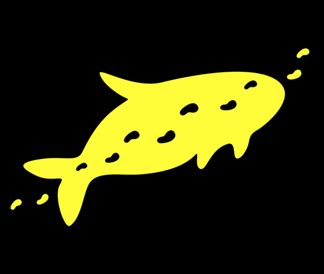 Bondi To Manly Walk Whale Logo 650X550