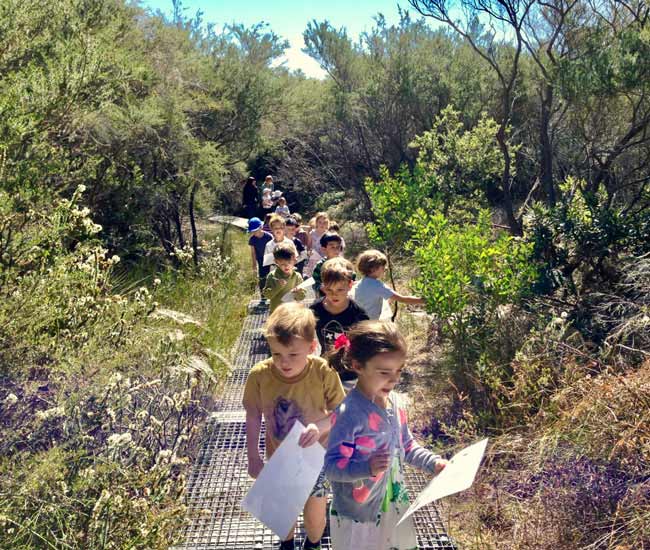 Ecoxplore Tour North Head Sanctuary Hanging Swamp Manly 650X550