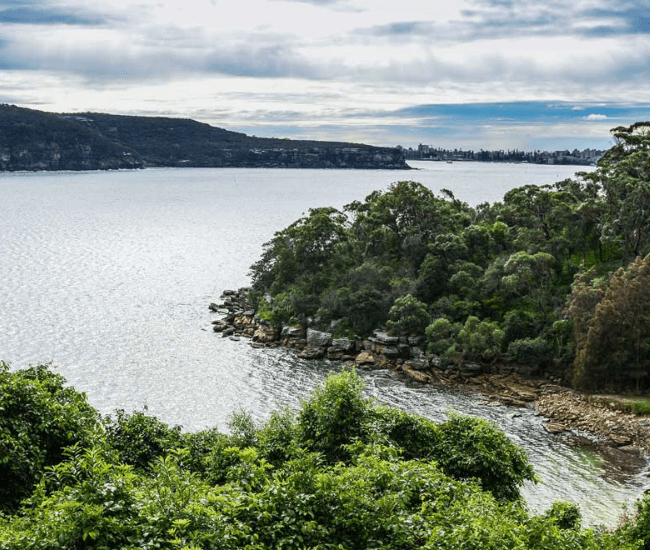 Middle Head Mosman View Cobblers Beach Middle Harbour 650X550