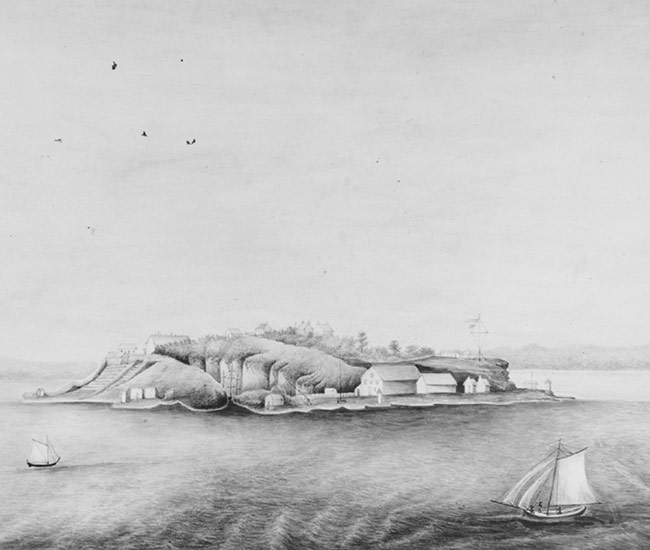 Cockatoo Island Painting By Mcneilly 1864 650X550