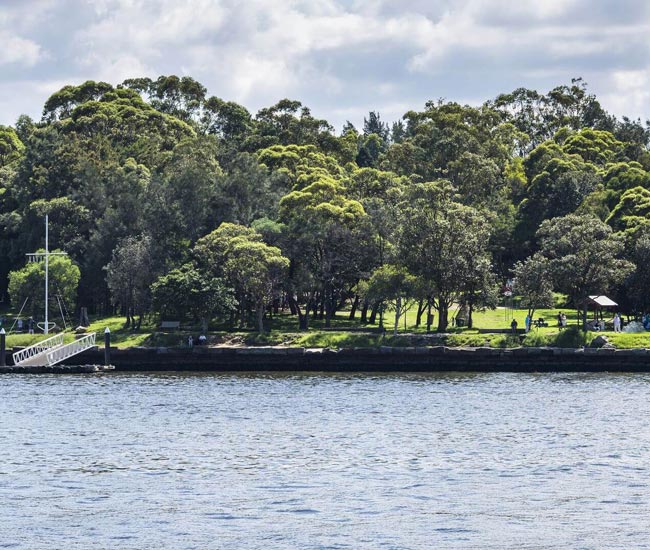 Horse Paddock Woolwich Dock And Parklands Cockatoo Island 650X550