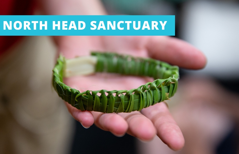 Hand holding a weaved bracelet.